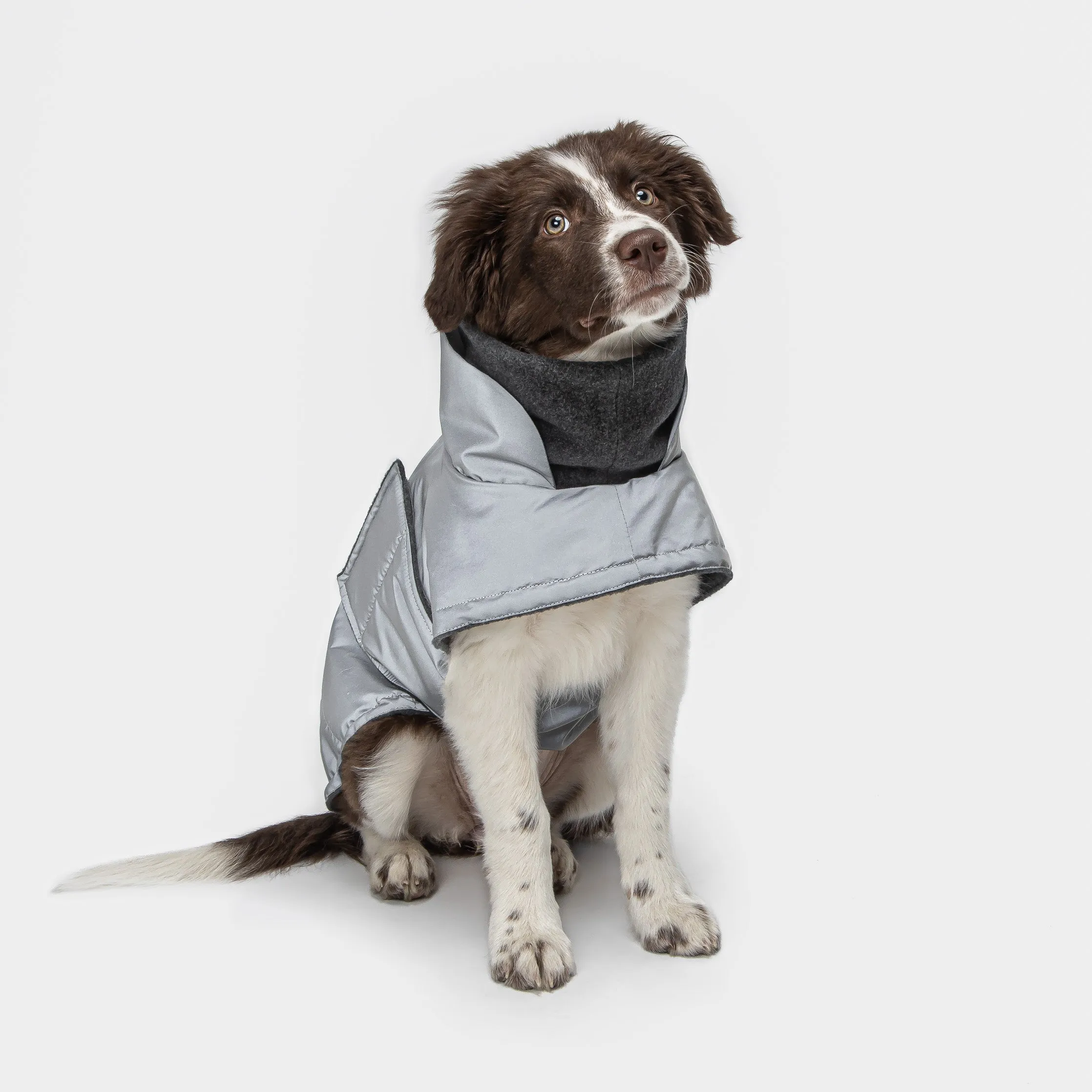 Cloud7 - Brooklyn Reflective Dog Coat