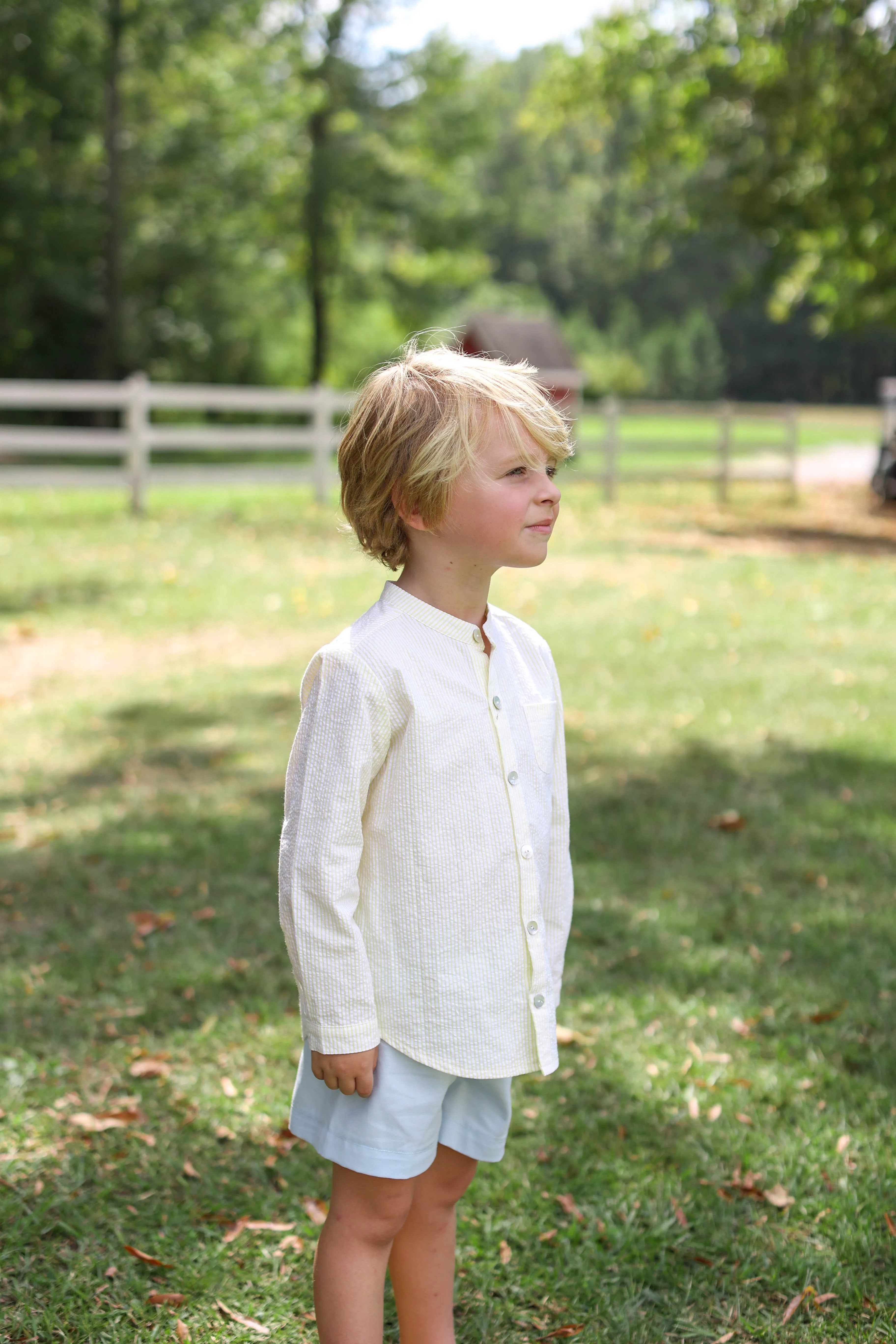 Tyson Shirt Long Sleeve in Yellow Stripe Seersucker